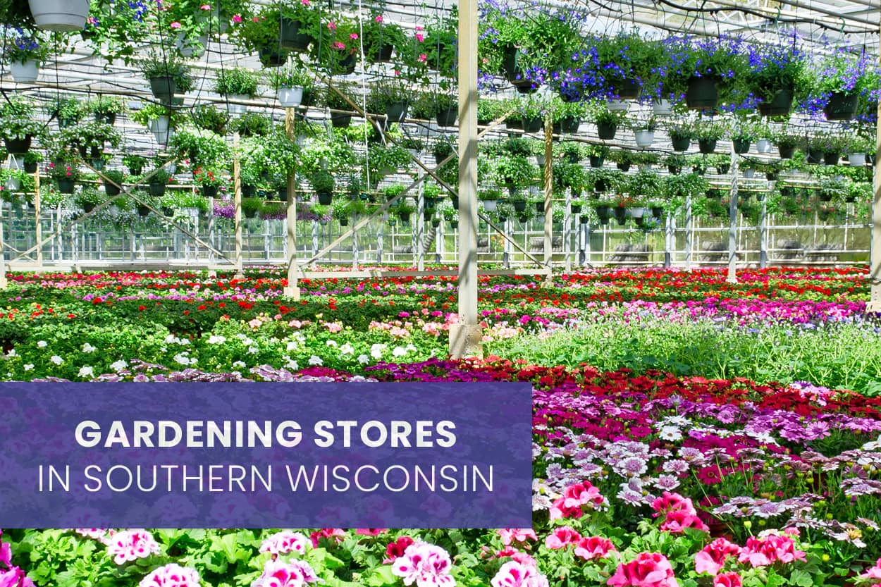 Madison Garden Stores