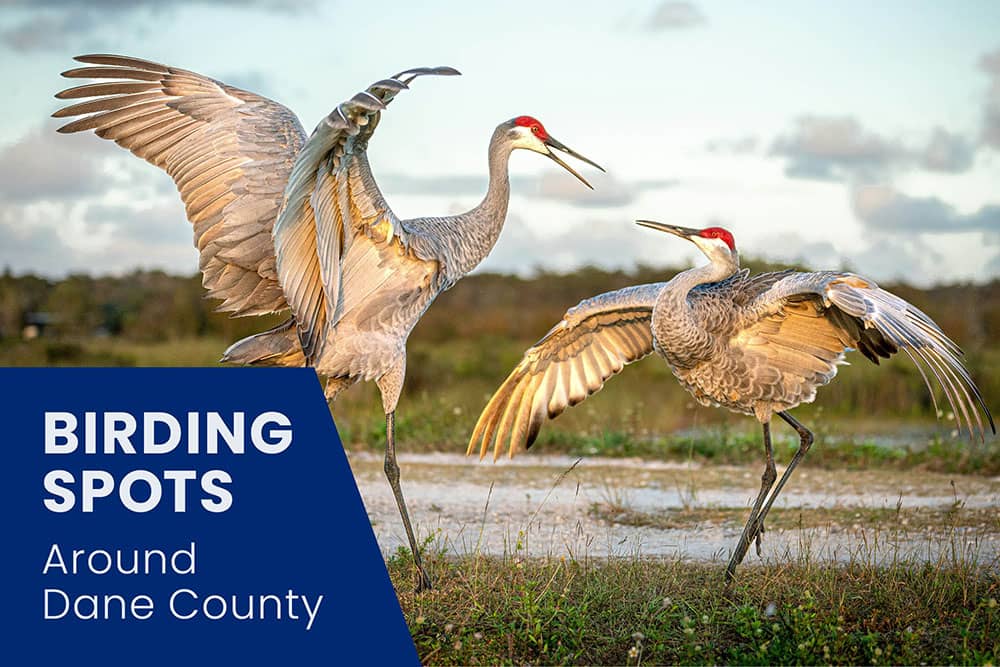 Posts from April 2025