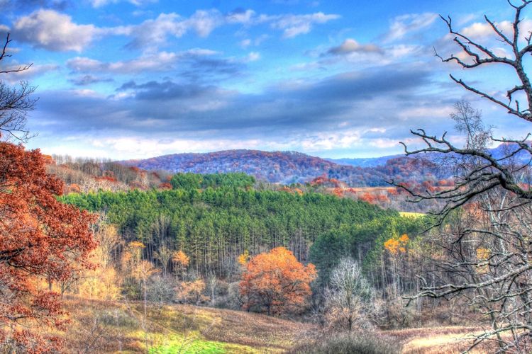 Poynette, WI Homes for Sale and Realtors